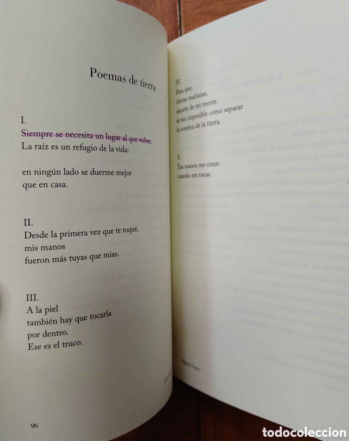 Libros: La Piel en los Labios - Miguel Gane - Foto 5