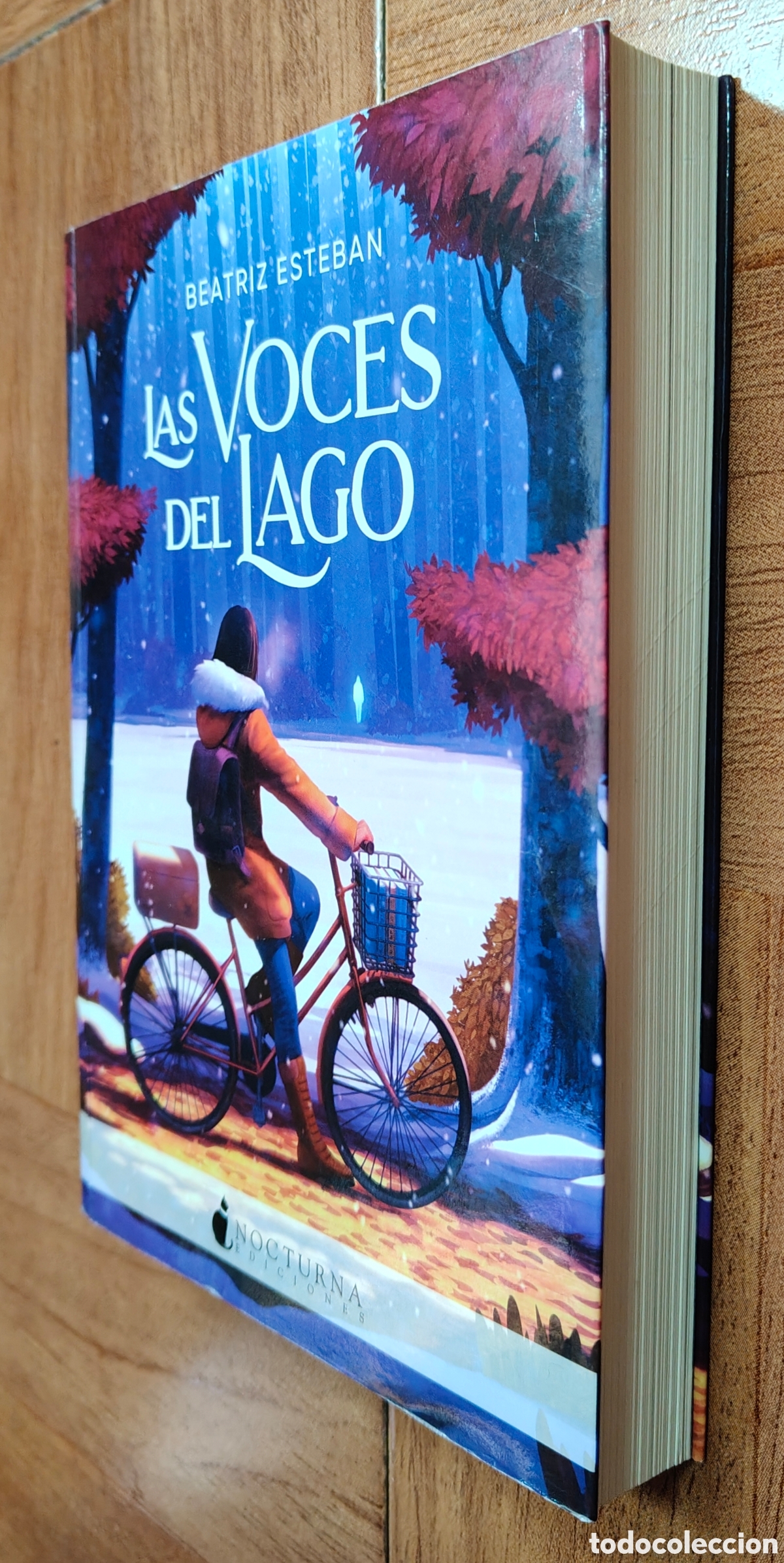 Libros: Las Voces del Lago - Beatriz Esteban - Foto 2