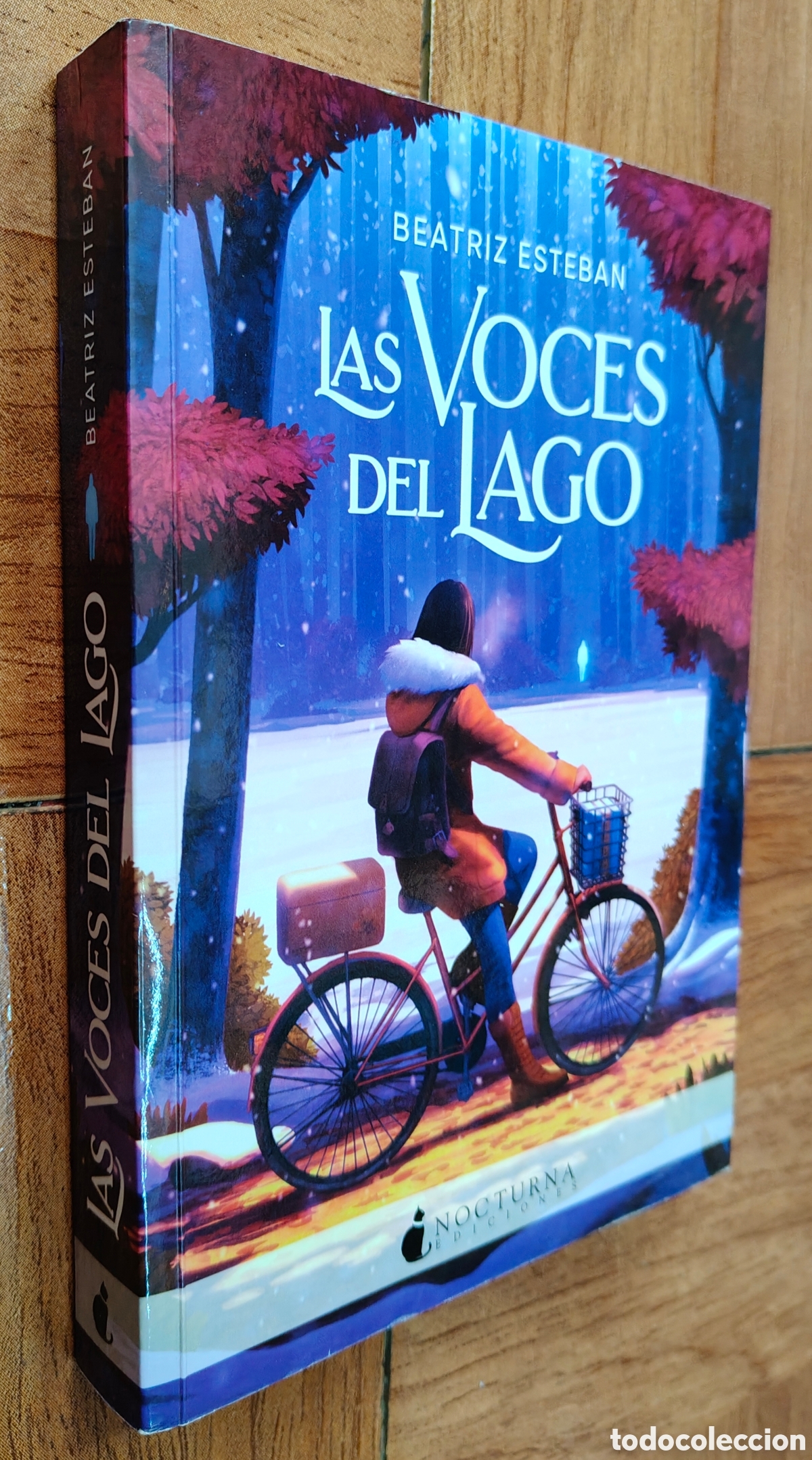 Libros: Las Voces del Lago - Beatriz Esteban - Foto 1