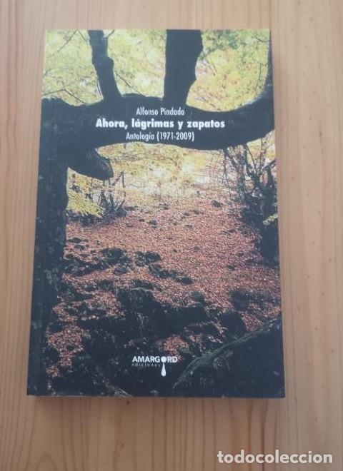 books: AHORA LAGRIMAS Y ZAPATOS ANTOLOGIA 1971 2009 - PINDADO, ALFONSO- ED AMARGORD -