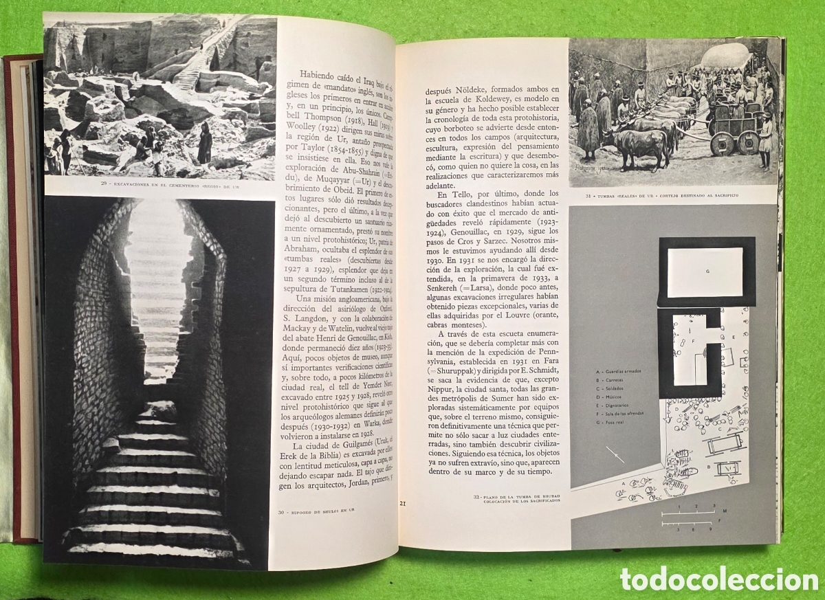 Libros: Sumer. El universo de las formas. - Foto 4