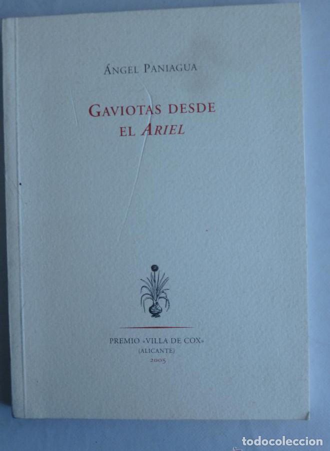 Libros: Gaviotas desde el ariel - &Aacute;ngel Paniagua Manzano