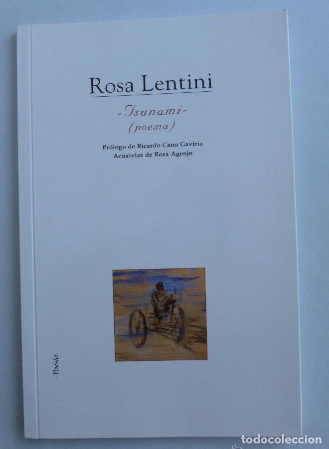 B&uuml;cher: TSUNAMI. ROSA LENTINI. IGITUR. 2013 50 PAG -