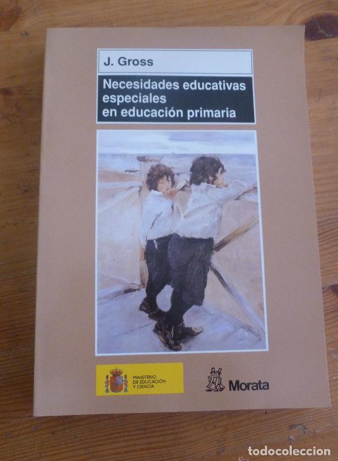 Libros: NECESIDADES EDUCATIVAS ESPECIALES EN EDUCACION PRIMARIA. J.GROSS. ED. MORATA 2004 342 PAG -