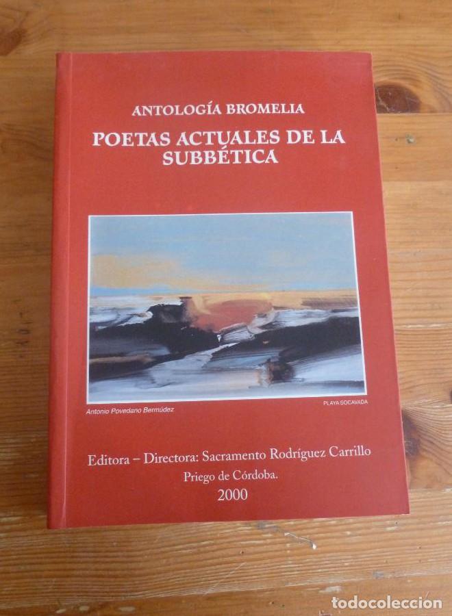 Libros: ANTOLOGIA BROMELIA. POETAS ACTUALES DE LA SUBBETICA. PRIEGO. 2000 469 PAG -