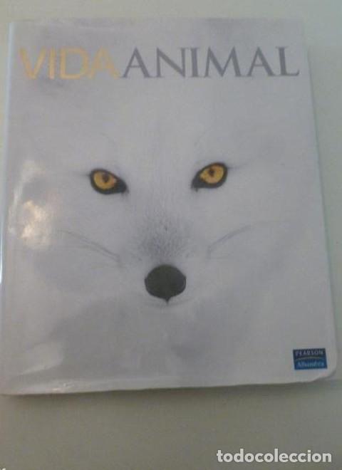 B&uuml;cher: VIDA ANIMAL CHARLOTTE UTHLENBROEK. . 2009 512 PAG -