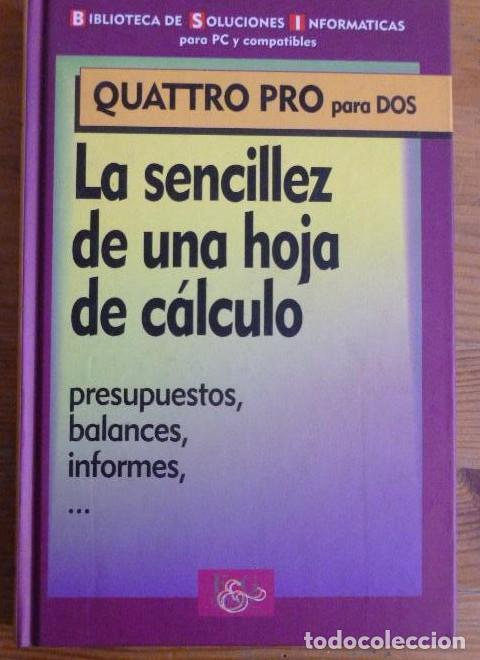 Livres: LA SENCILLEZ DE UNA HOJA DE C&Aacute;LCULO. PRESUPUESTOS, BALANCES, INFROMES. F&G EDITORES. 1994 142pp -