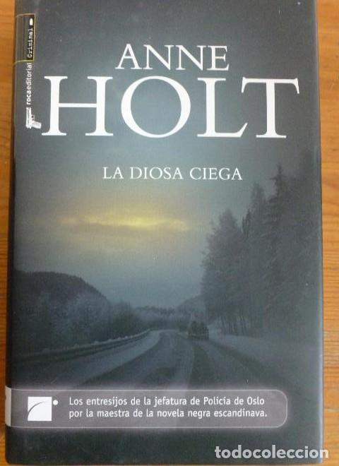Libros: LA DIOSA CIEGA. ANNE HOLG. ROCA ED. 2009 330pp - - Foto 1