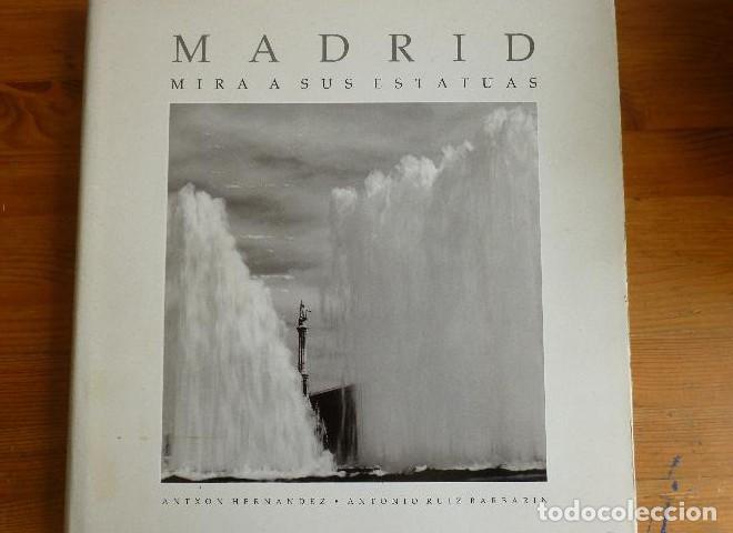 B&uuml;cher: Madrid mira a sus estatuas Hern&aacute;ndez, Antxon -