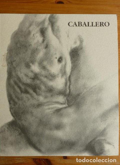 Libros: LUIS CABALLERO. CASA DE AMERICA 1995 50pp - - Foto 1