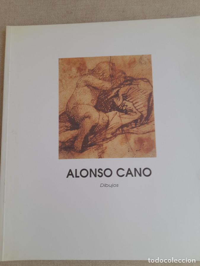 B&uuml;cher: Alonso Cano Dibujos - Jos&eacute; Mar&iacute;a Pita Andrade