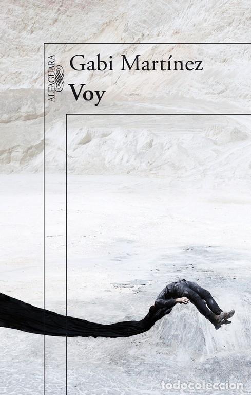 Libros: VOY. - MART&Iacute;NEZ, GABI