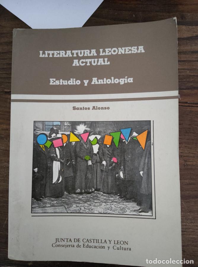 Libri di seconda mano: LITERATURA LEONESA ACTUAL: ESTUDIO Y ANTOLOG&Iacute;A DE 17 ESCRITORES - Santos Alonso -
