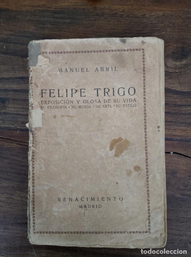 Libros: FELIPE TROGO EXPOSICI&Oacute;N Y GLOSA DE SU VIDA - MANUEL ABRIL - Foto 1