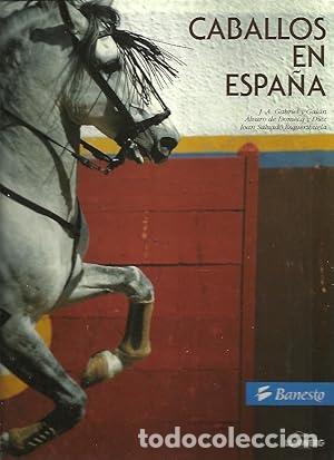 Libros: Caballos En Espa&ntilde;a (Edicion Bilingue Spanish-English) - Gabriel y Gal&aacute;n, Jos&eacute; Antonio/Domecq y D&iacute;ez,