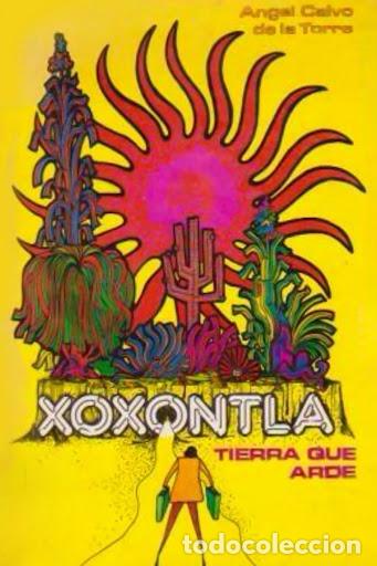 Libros: Xoxontla, Tierra que arde. - &Aacute;ngel Calvo de la Torre.