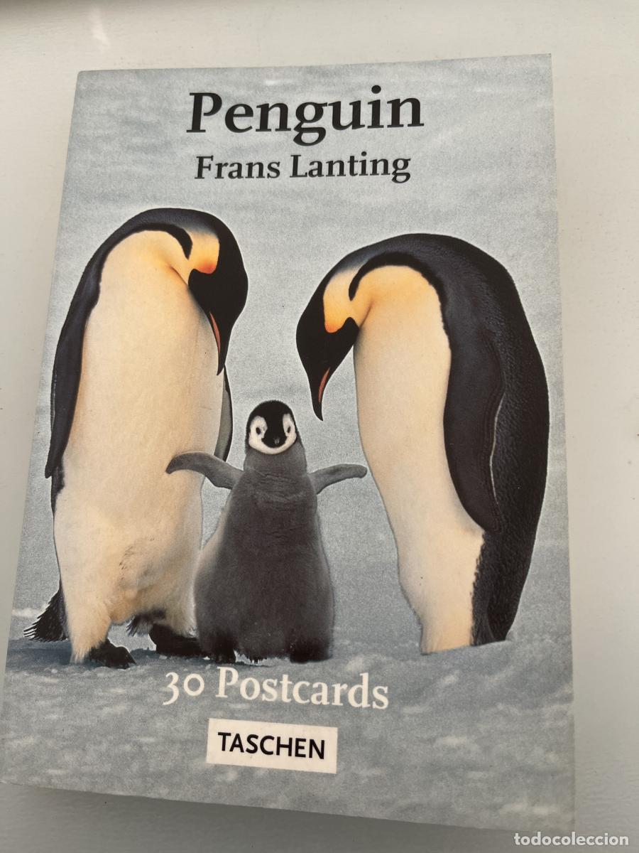 Libros: 30 Postcard, Penguin (Postcardbooks) - Lanting, Frans