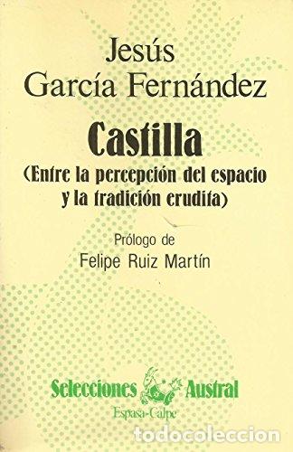 books: Castilla - Garc&iacute;a Fern&aacute;ndez, Jes&uacute;s