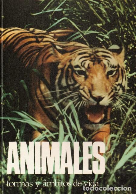 Libros: Animales ( Formas y &aacute;mbitos de vida ) - Todt, Dietmar - Foto 1