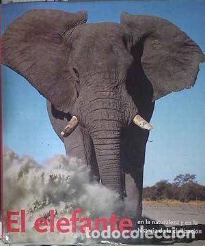 books: EL ELEFANTE - GRONING/SALLER