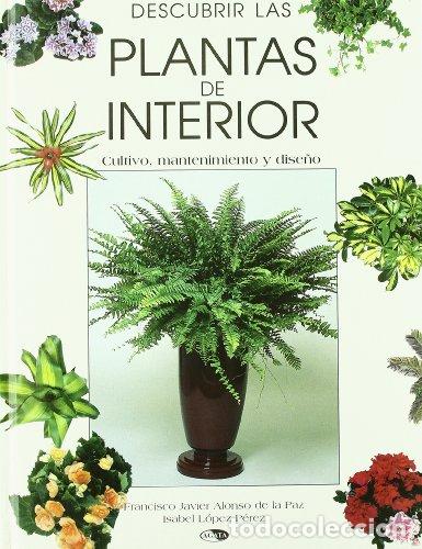 Libros: Descubrir las plantas de interior - Alonso de la Paz, Francisco Javier / L&oacute;pez P&eacute;rez, Isabel