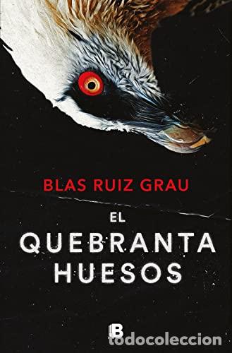 Libri di seconda mano: El quebrantahuesos (Nicol&aacute;s Vald&eacute;s 4) - Ruiz Grau, Blas