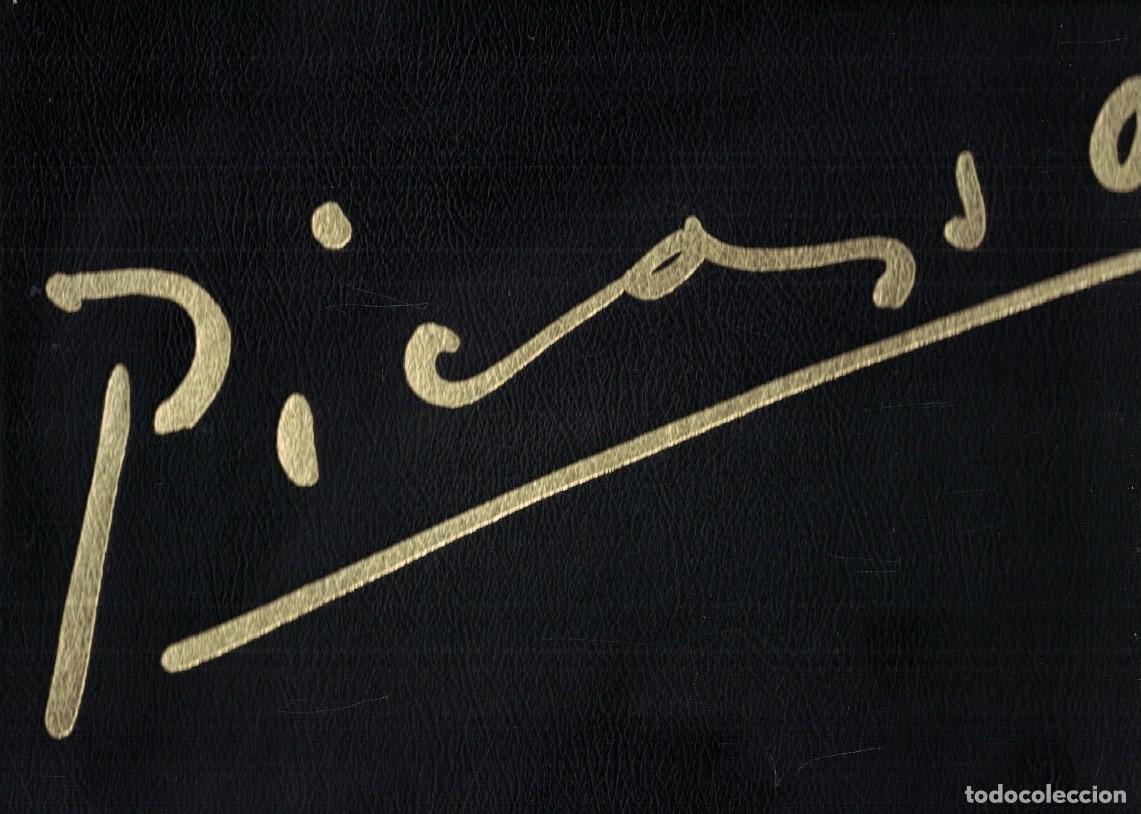 Libros: PABLO PICASSO. 1881 &ndash; 1981. - Jaff&eacute;. Hans L., - Foto 1