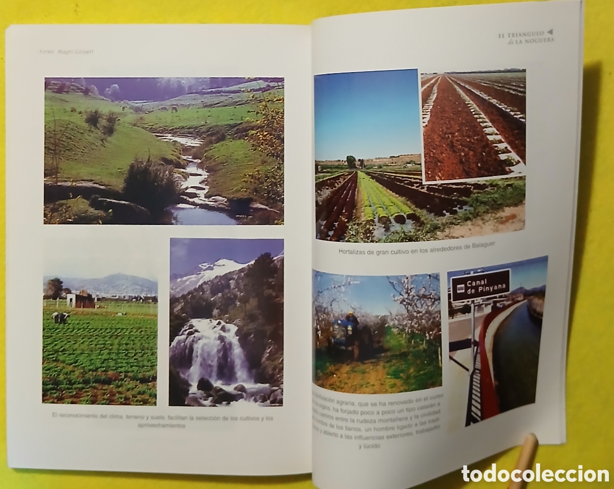 Libros: El triangulo de la Noguera - Foto 6