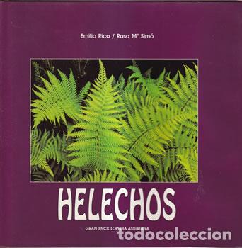 Libros: Helechos - Emilio Rico / Rosa M&ordf; Sim&oacute; - Foto 1