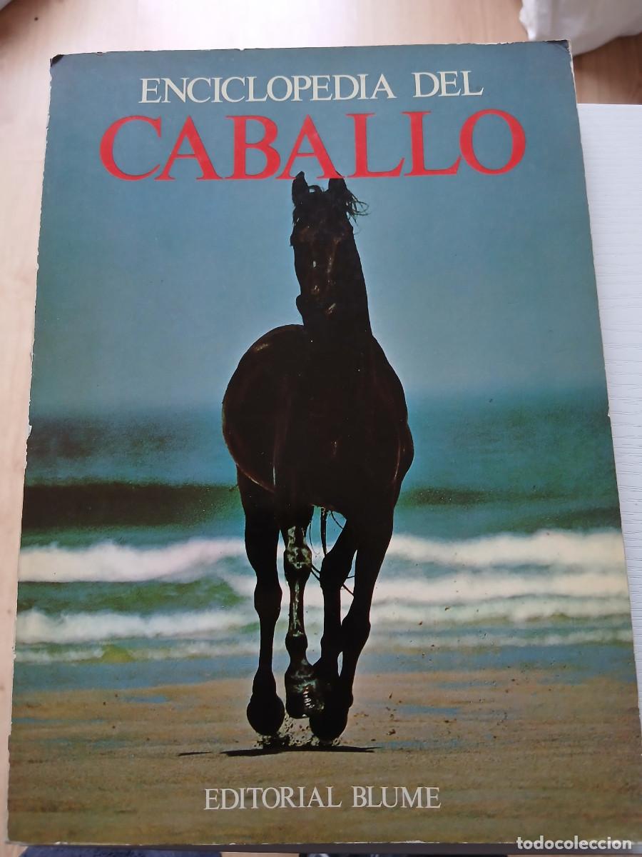 Libros: ENCICLOPEDIA DEL CABALLO - Foto 1