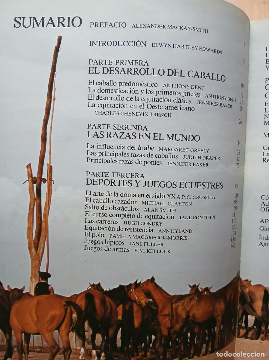Libros: ENCICLOPEDIA DEL CABALLO - Foto 3