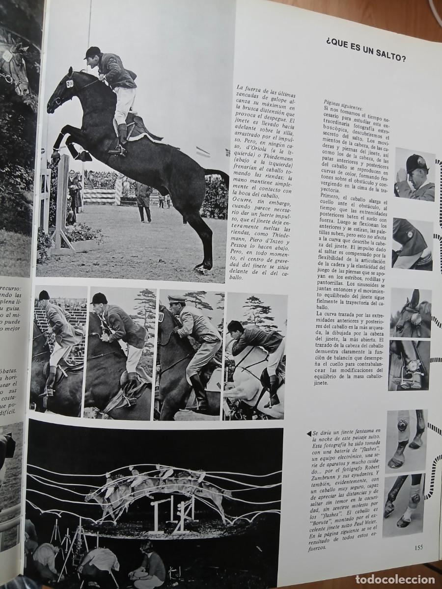 Libros: EL GRAN LIBRO DEL CABALLO - Foto 3