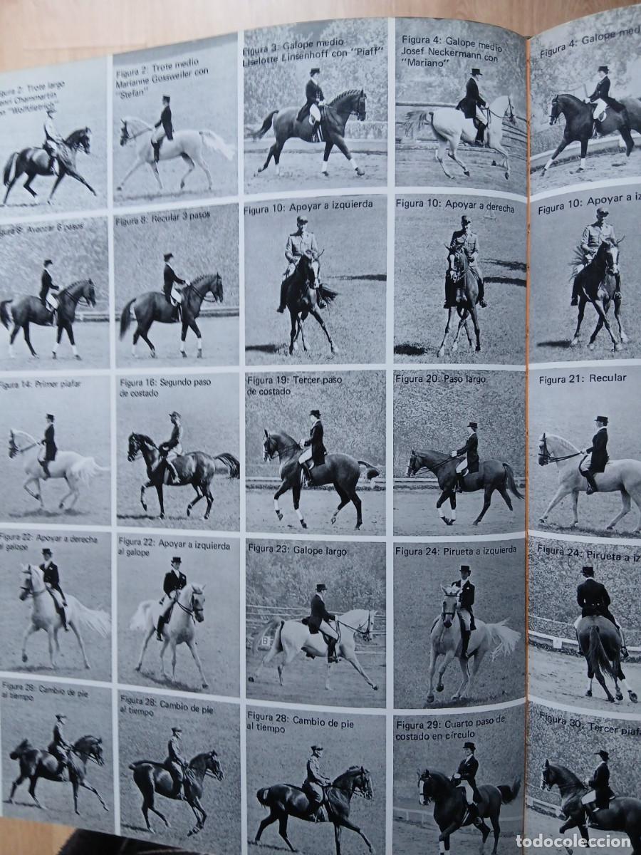 Libros: EL GRAN LIBRO DEL CABALLO - Foto 4