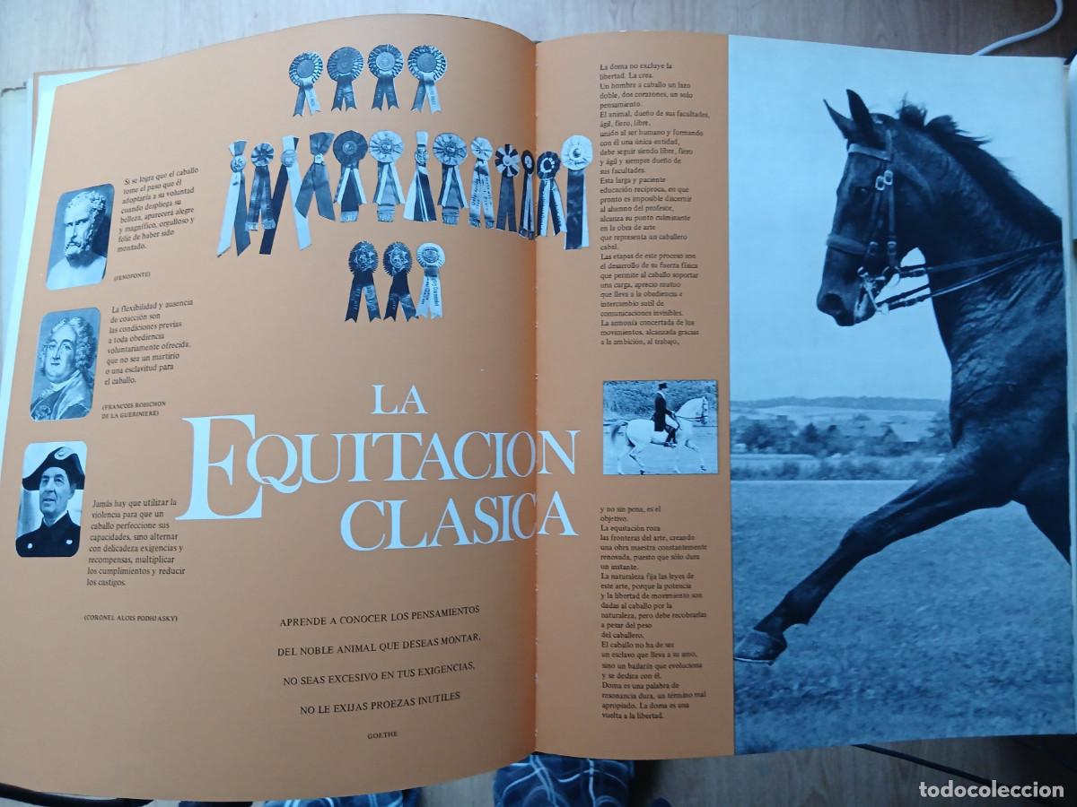 Libros: EL GRAN LIBRO DEL CABALLO - Foto 5