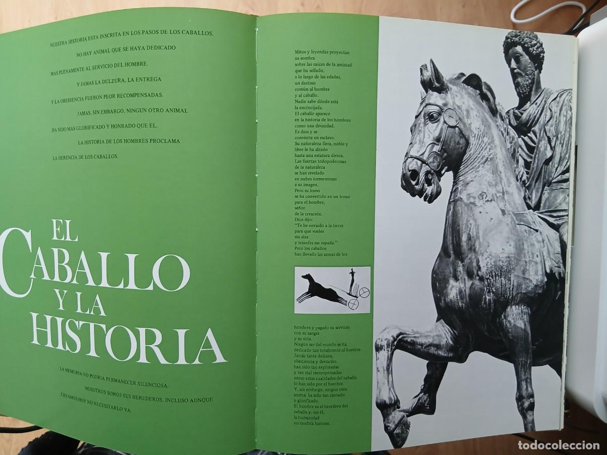 Libros: EL GRAN LIBRO DEL CABALLO - Foto 6