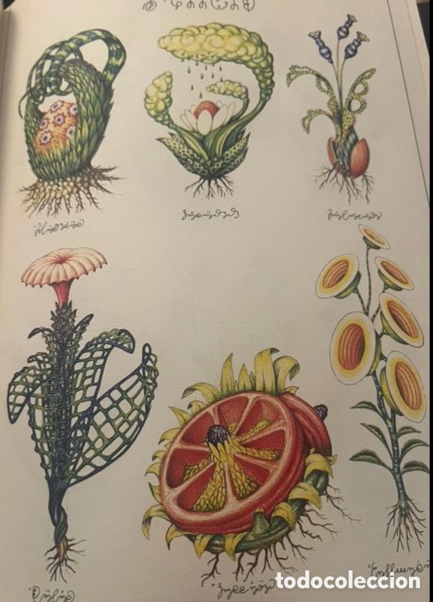 Libros: El Codex Seraphinianus. - Foto 2