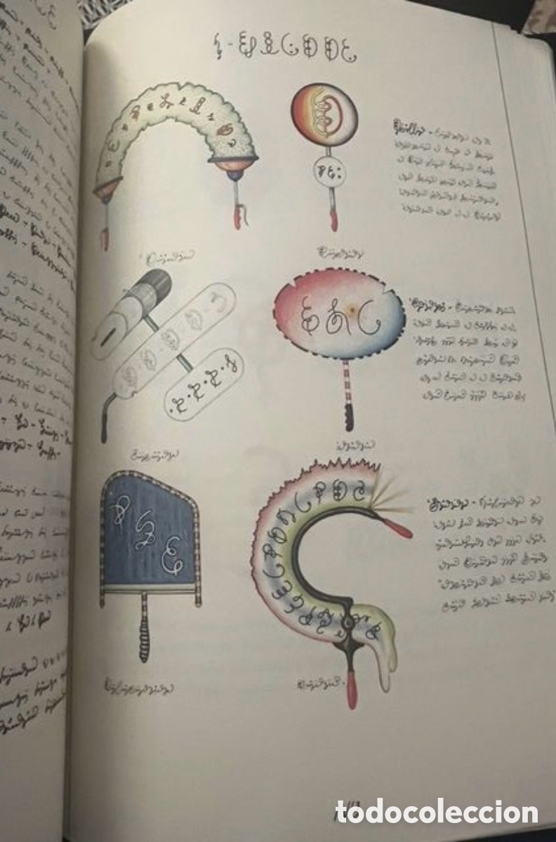 Libros: El Codex Seraphinianus. - Foto 8