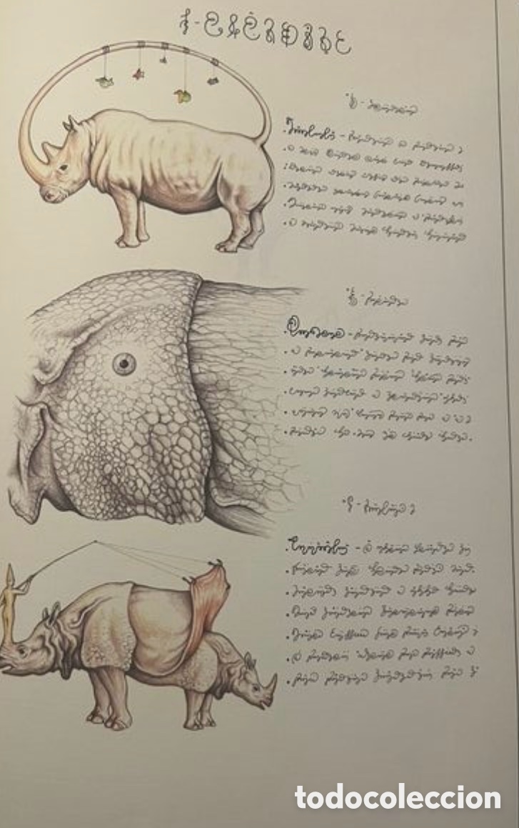 Libros: El Codex Seraphinianus. - Foto 10