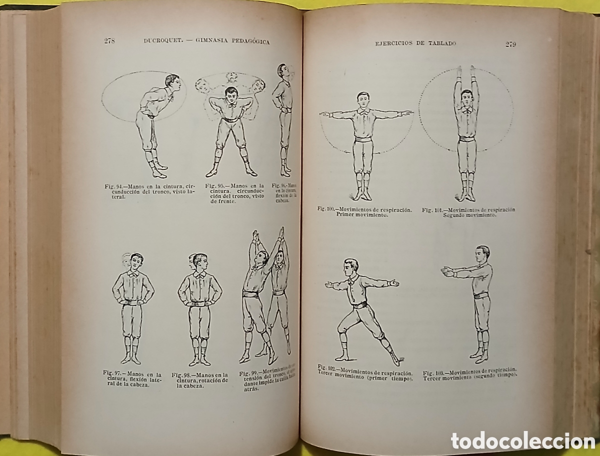 Libros: Quinesiterapia, fisioterapia - Foto 7