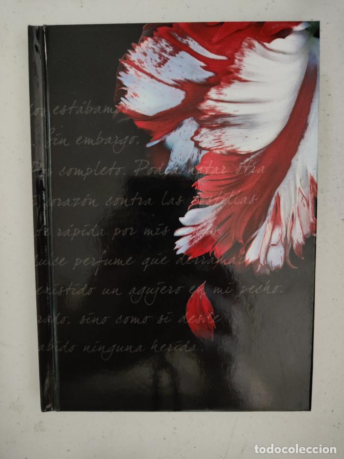 Livros em segunda m&atilde;o: LUNA NUEVA - MEYER, STEPHENIE - tdk141 -