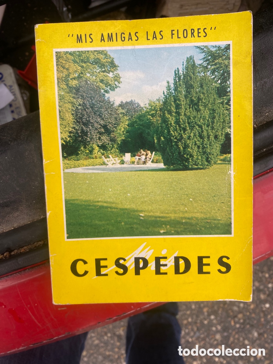 Libros: &rdquo;MIS AMIGAS LAS FLORES&rdquo; CESPEDES - Foto 1