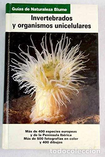 Livres: Invertebrados y organismos unicelulares- 9788480761369