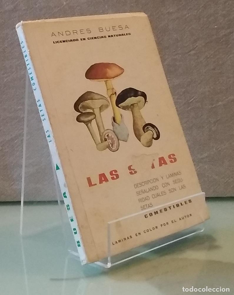 books: Las setas. Descripci&oacute;n y l&aacute;minas se&ntilde;alando con seguridad cu&aacute;les son las setas comestibles - Andr&eacute;s B