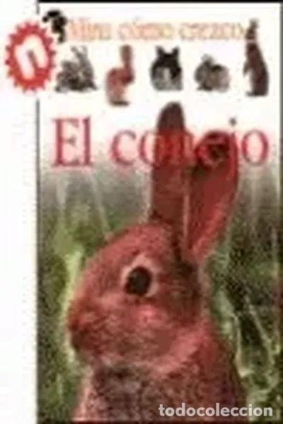 books: El conejo- 9788423672202