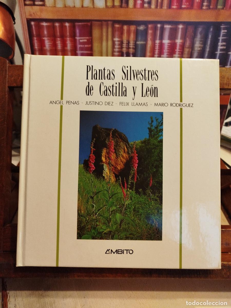 Livres: Plantas silvestres de Castilla y Le&oacute;n - VV. AA