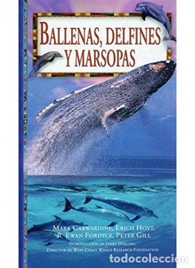 books: Ballenas, delfines y marsopas- 9788428211635