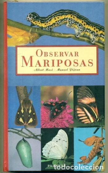 Libros: Observar mariposas- 9788408020721 - Foto 1