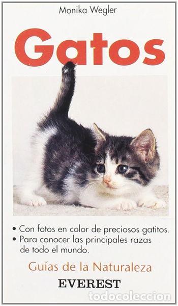 Livres: Gatos- 9788424126841