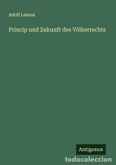 Livres: Princip und Zukunft des V&ouml;lkerrechts- 9783386331401