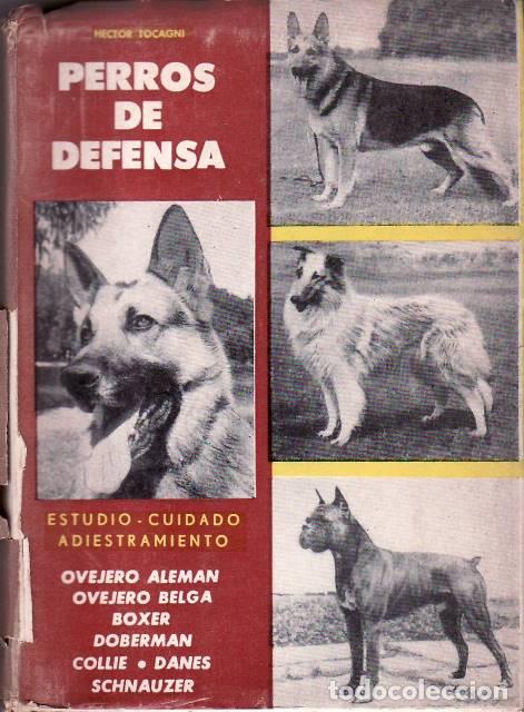 Libros: TOCAGNI, H&eacute;ctor.- - Perros de defensa. Estudio, cuidado, adiestramiento. - Foto 1